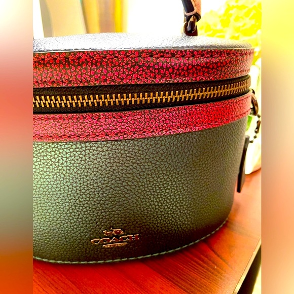 Coach new metallic bag - Picture 10 of 16